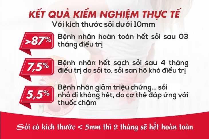 ai-thuoc-nhat-nam-tieu-thach-khang-dac-tri-soi-tiet-nieu-co-tot-khong Bài thuốc Nhất Nam Tiêu Thạch Khang đặc trị sỏi tiết niệu có tốt không