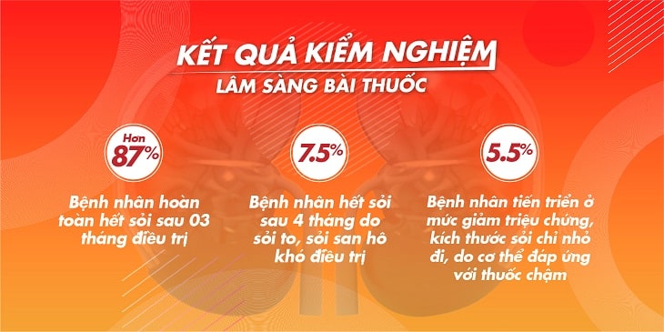 nhat-nam-tieu-thach-khang-dac-tri-soi-than nhất nam tiêu thạch khang đặc trị sỏi thận